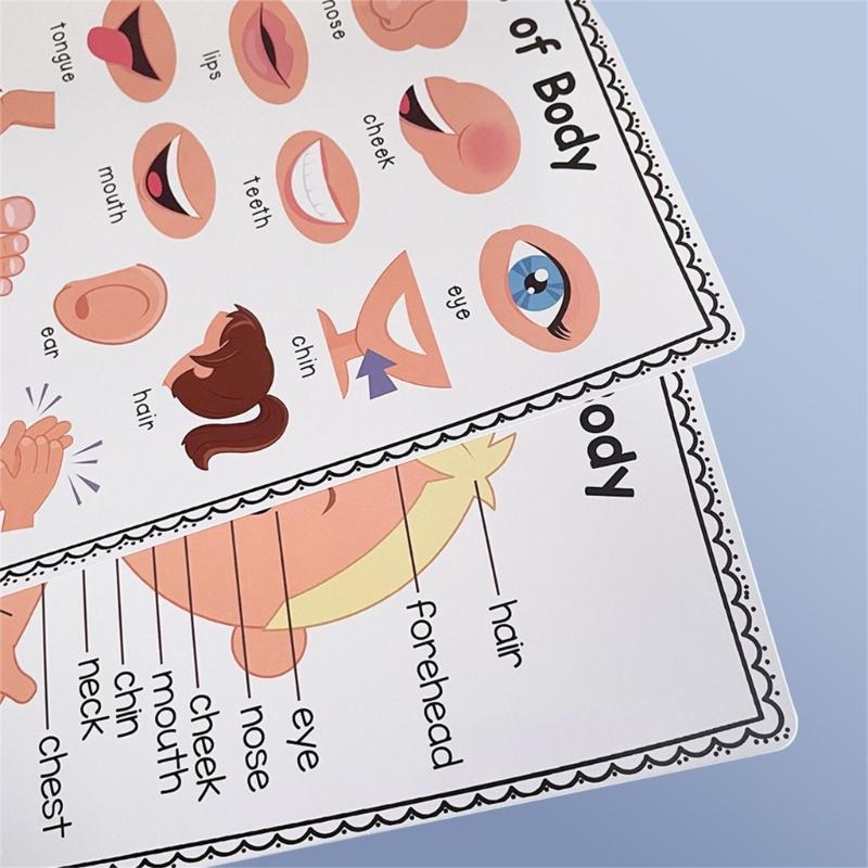 교실 홈 D2RC를 위한 재미있는 대화형 신체 부위 차 - Kids Educational Poster 리뷰 및 가격