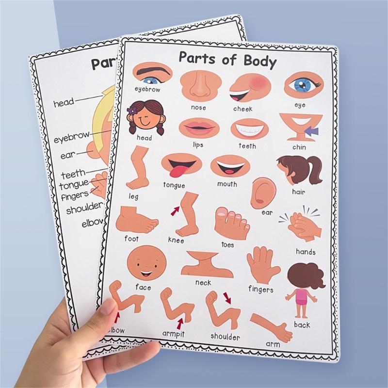 교실 홈 D2RC를 위한 재미있는 대화형 신체 부위 차 - Kids Educational Poster 리뷰 및 가격